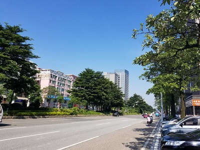 Houjie